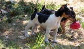 Enlarge photo 18