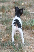 Enlarge photo 10