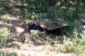 Enlarge photo 15