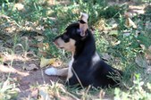 Enlarge photo 13