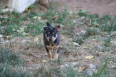 Enlarge photo 18
