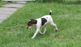 Enlarge photo 11