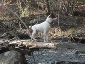 Enlarge photo 12