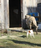Enlarge photo 8