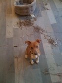 Enlarge photo 2