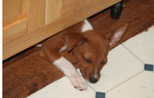 Enlarge photo 22