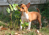 Enlarge photo 21