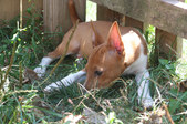 Enlarge photo 20