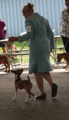 Enlarge photo 7