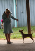 Enlarge photo 15