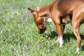 Enlarge photo 15