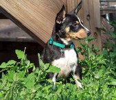 <b>Rudy</b>