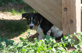 Enlarge photo 12