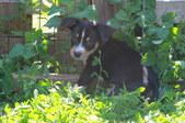 Enlarge photo 7