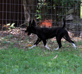 Enlarge photo 12