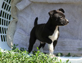 Enlarge photo 24