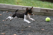 Enlarge photo 17