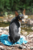 Enlarge photo 24