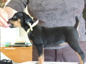 Enlarge photo 6