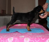 Enlarge photo 7