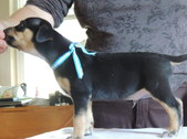 Enlarge photo 10