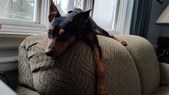 Atti