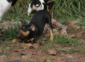 Enlarge photo 2
