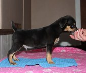 Enlarge photo 9