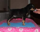 Enlarge photo 5