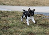 Enlarge photo 18