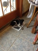 Enlarge photo 19
