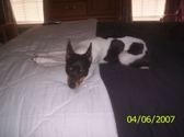 Enlarge photo 19