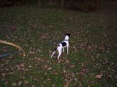 Enlarge photo 13