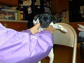 Enlarge photo 13