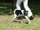 Enlarge photo 14