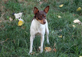 Enlarge photo 12