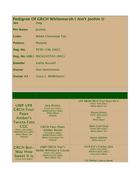 Enlarge HTML Document 2