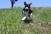 Enlarge photo 4