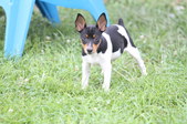 Enlarge photo 14