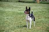Enlarge photo 20