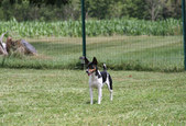 Enlarge photo 18