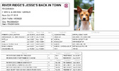 <b>Jesse</b>