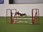 Enlarge photo 17