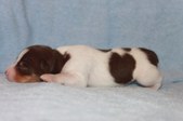 Enlarge photo 23