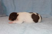 Enlarge photo 22