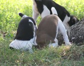 Enlarge photo 22