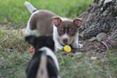 Enlarge photo 19