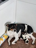 Enlarge photo 8