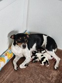 Enlarge photo 9