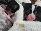Enlarge photo 19